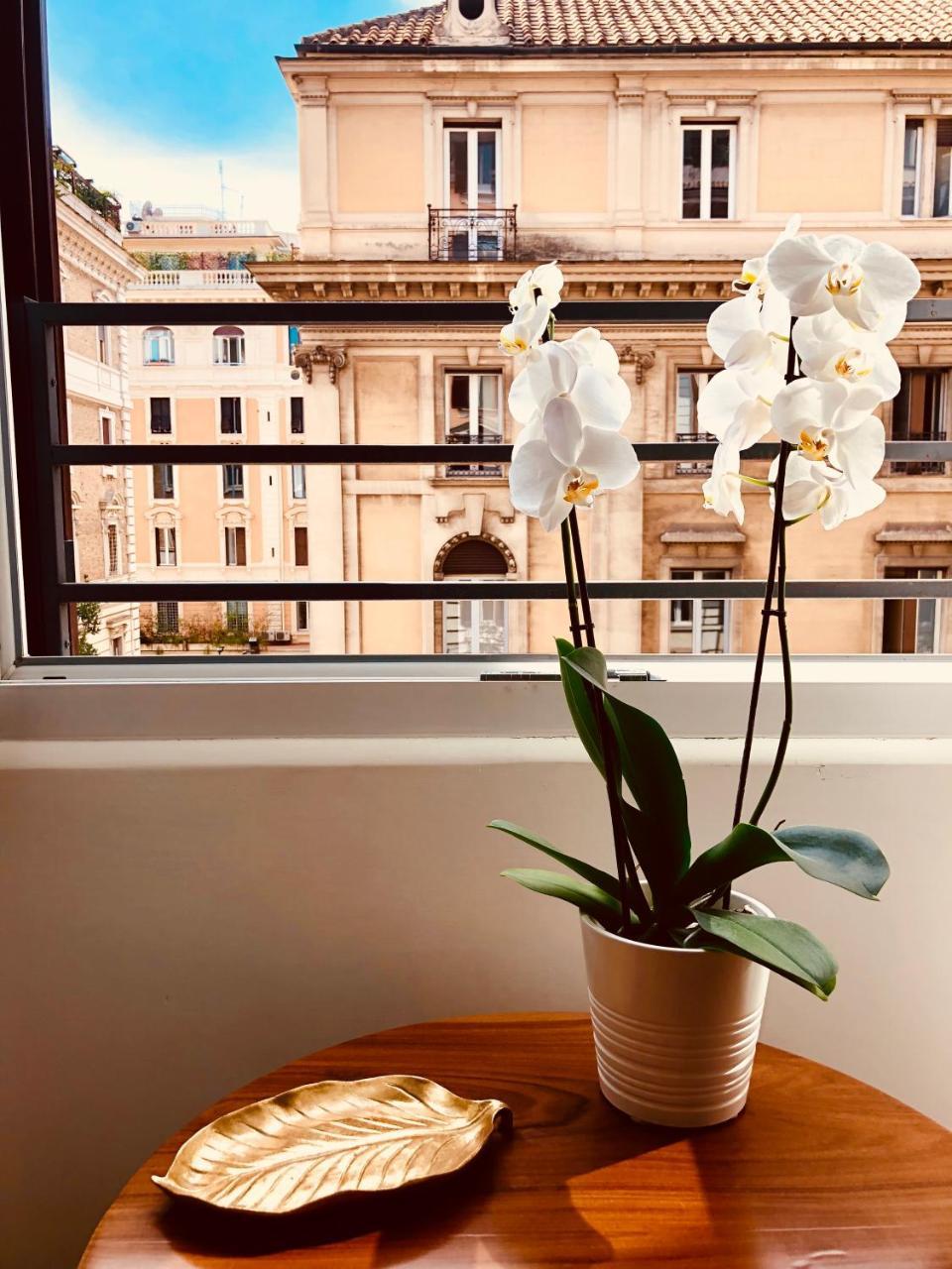 Bed and Breakfast 900 Piazza Del Popolo Рим Экстерьер фото